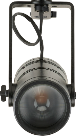 ETC IRWLZP-50/80-MVOLT-C-DMX Irideon WLZ Plus DMX Canopy 5000 K / 80+ CRI - Black (IRWLZP-50/80-MVOLT-C-DMX)