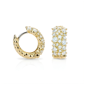 *SHOP & SIP EVENT* Paul Morelli Small Oval Snap Hoop Earrings