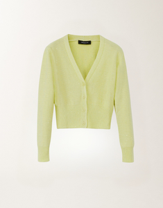Fabiana Filippi Cropped Sequined Cardigan in Pistachio, Size 44