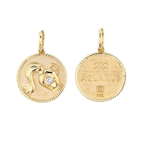 *PRE-ORDER* Sydney Evan 14K Yellow Gold & Diamond Small Zodiac Medallion Charm (Aquarius)