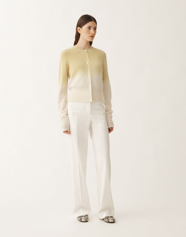 Fabiana Filippi Gradient Platinum Cardigan in Aloe, Size 44