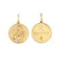 *PRE-ORDER* Sydney Evan 14K Yellow Gold & Diamond Small Zodiac Medallion Charm (Scorpio)