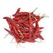 SURYA RED CHILLI / LAL MIRCHI WHOLE WITH STEM