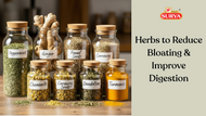 7 Natural Herbs to Reduce Bloating & Improve Digestion