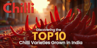 Discovering the Top 10 Red Chilli Varieties Grown in India