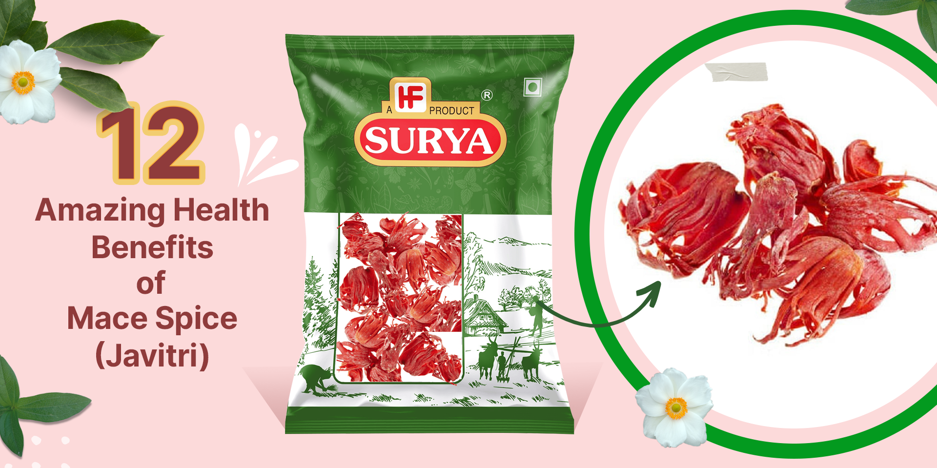 12 Amazing Health Benefits of Mace Spice (Javitri)