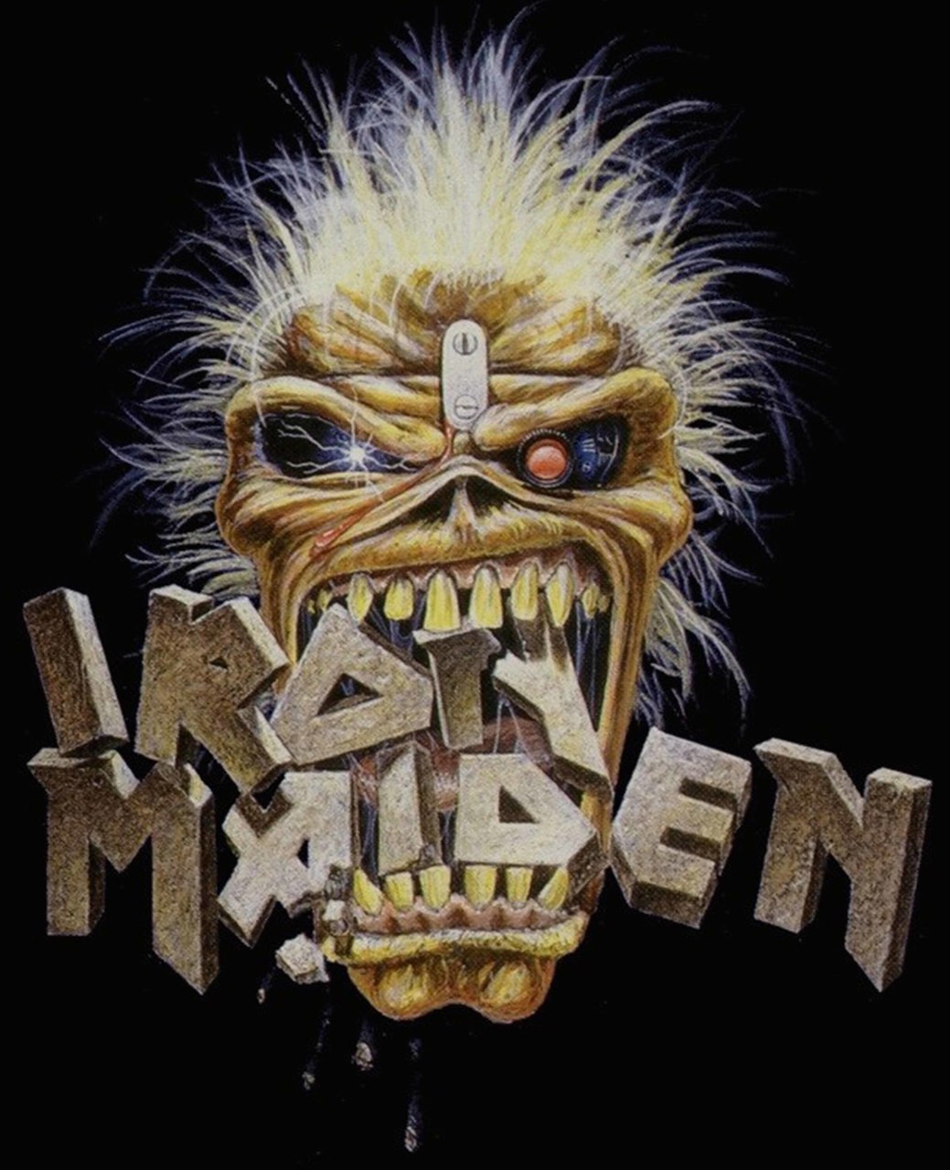 Iron Maiden - The Book of Souls Tour 2017 - Phoenix Tees