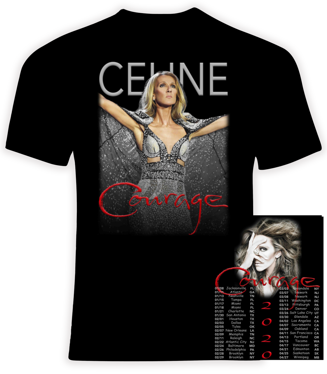 celine dion t