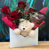  Admirer gift pack  
