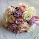  Pastel Roses  