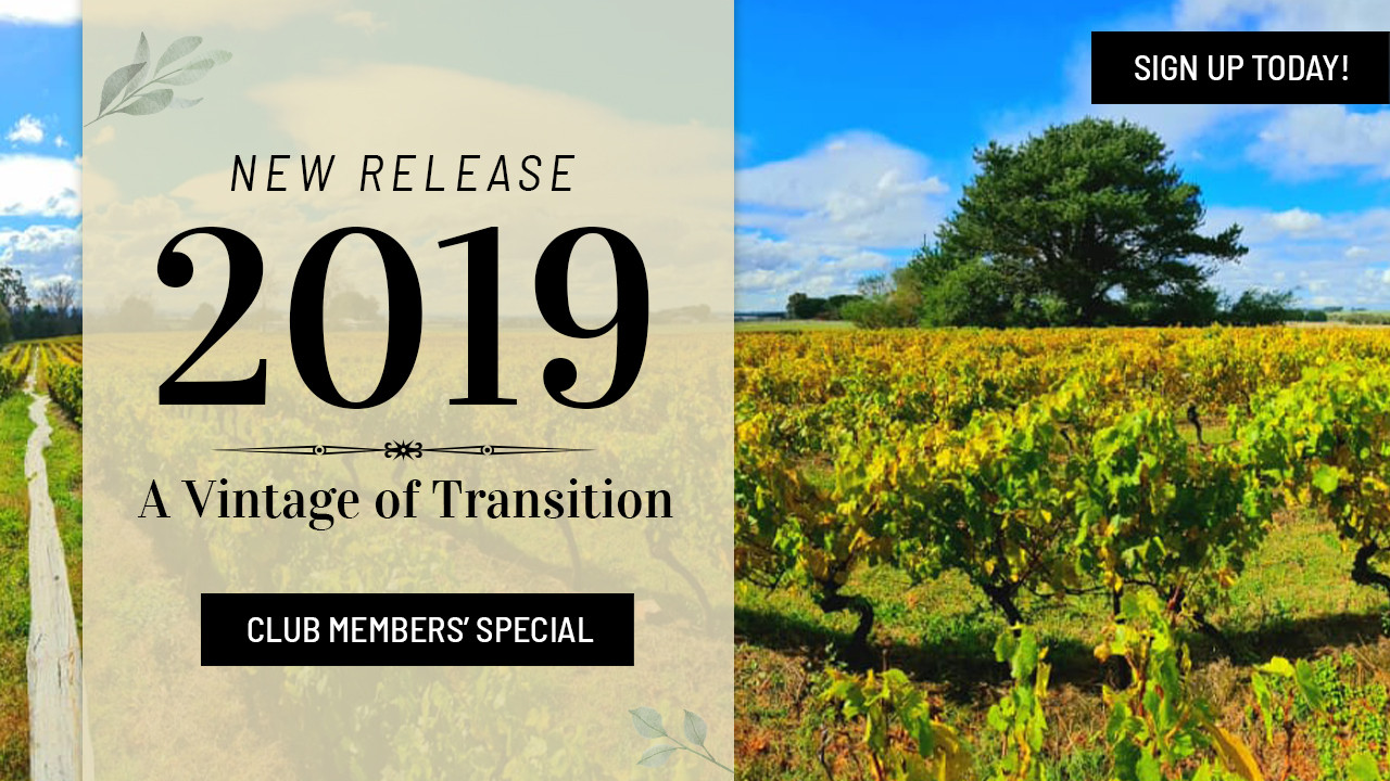 New Release 2019: A Vintage of Transition 