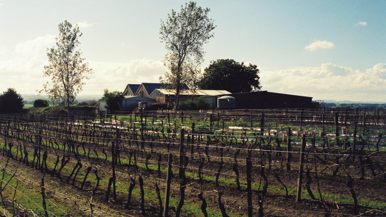 Bass Phillip wines Natural Viticulture Winemaking in the South