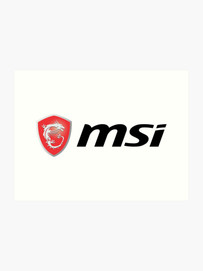 MSI