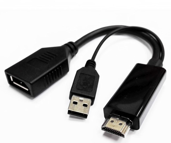 HDMI Male to Display Port Female with USB (for power)