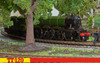 Hornby TT3005TXSM TT:120 BR Class A3 4-6-2 60078 'Night Hawk'