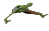 Corgi CC96612 Klingon Bird-of-Prey 'HMS Bounty' Star Trek IV: The Voyage Home