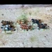 Wargames Atlantic WAAFE002 First Empires 28mm Bronze Age Chariots