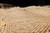 Hessian Rolls