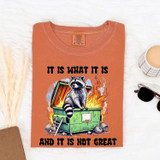 It Is What It Is And It Is Not Great Raccoon Tee