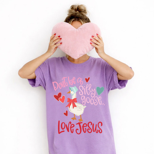 Don't Be A Silly Goose Love Jesus Tee