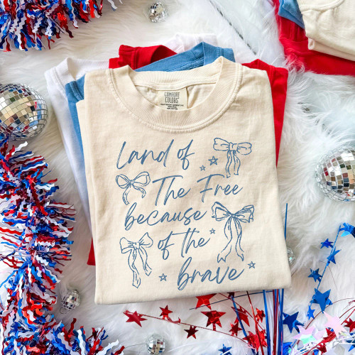 Land Of The Free Because Of The Brave Tee