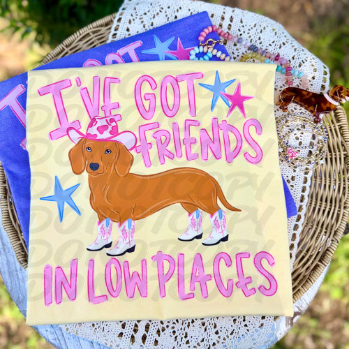 I've Got Friends In Low Places Dachshund Tee