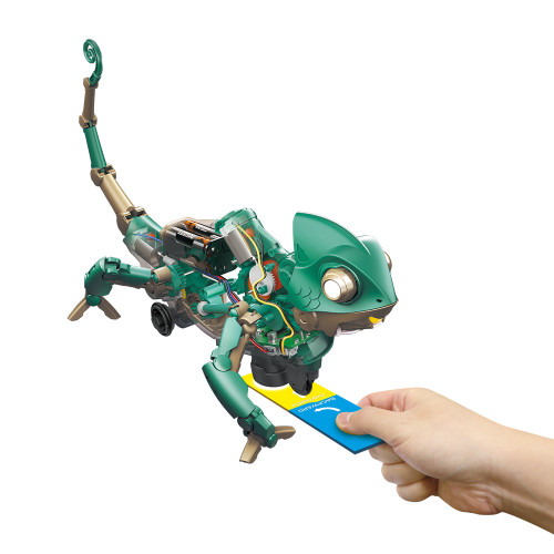 Construct & Create Codee the Colour-Sensing Chameleon