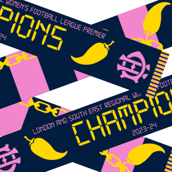DHFCW Champions 2024 Scarf