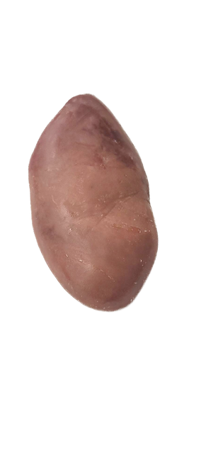 Pork Kidney