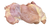 Chicken Boneless Skinless Thigh