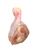 Chicken Drumsticks SMALL A Grade 20LB Case