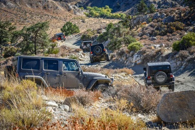 Jeep Jamboree