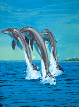 Dolphins at Play