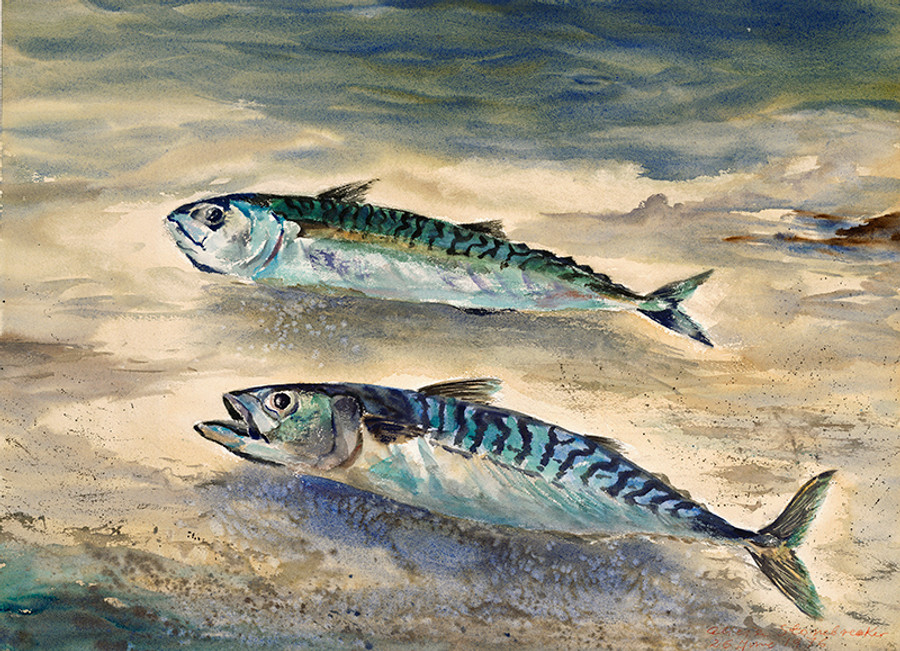 Two Tinker Mackerel