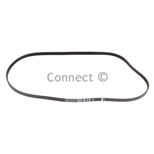 Poly-Vee Drive Belt - 1225J5EPJ ( 1225J5 )