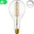 Giant 8w ES Antique Amber LED Filament 4297820