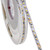 Professional SMD Series 9.6W/m 24V LED Strip Light Warm White IP20 5M Roll