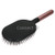 Paddle Brush, Rose