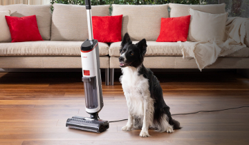 Pet-Friendly and Hygienic