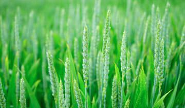 Eco Function for Lower Consumption