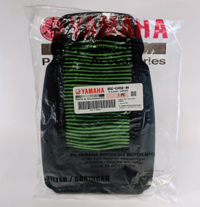 Genuine Yamaha Air Filter B5GE44500000 YZF-R125 19- & MT-125 20-