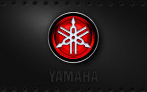 Genuine Yamaha Air Filter for WR125R 2026 Owards - BWN-E4450-00