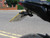 Yamaha MT-07. Just 3249 miles from new! Akrapovic, tail tidy fitted. 