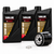 Yamaha Grizzly 700 2019-2027 Oil Service Kit FS4 10W40 3L Filter
