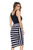 Tanks and Stripes 