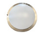 LED Double Ring Ceiling Lamp 16"
