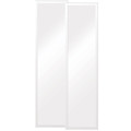 LED Backlit Panel Light 1ft x 4ft 3CCT (2-Pack)