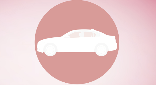 Car Accessories & Organizers