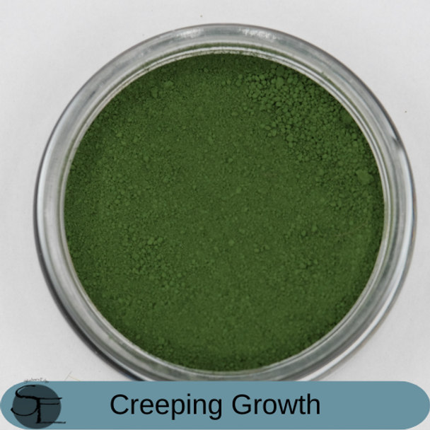 Earth Works Dry Weathering Powders - Creeping Growth