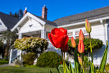 Transitioning From Heating To Cooling: Preparing Chimneys And Dryer Vents For Spring